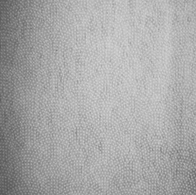 PA/PES Coated and Dot Fuse Flower Dot 100% Polyester Nonwoven Interlining for Garments