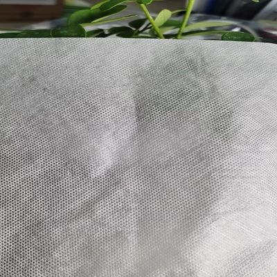 Lightweight Water-Soluble Embroidery Patch Backing Glue Film for and Detailed Designs